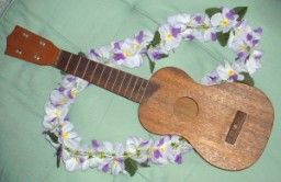 １本目・伊勢市のオオニシ楽器製ウクレレ・12,000円